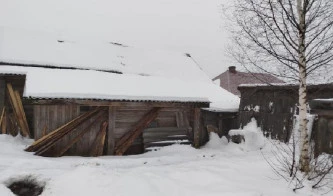 Земельный участок и нежилое здание по адресу: обл. Нижегородская,г Семенов, д. Ларионово